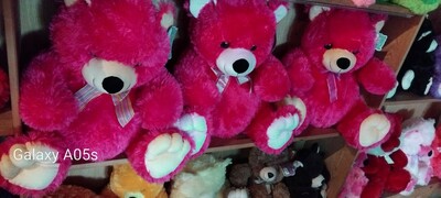 Pc 003 Bear